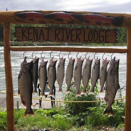 Kenai River Lodge 索尔多特纳 外观 照片