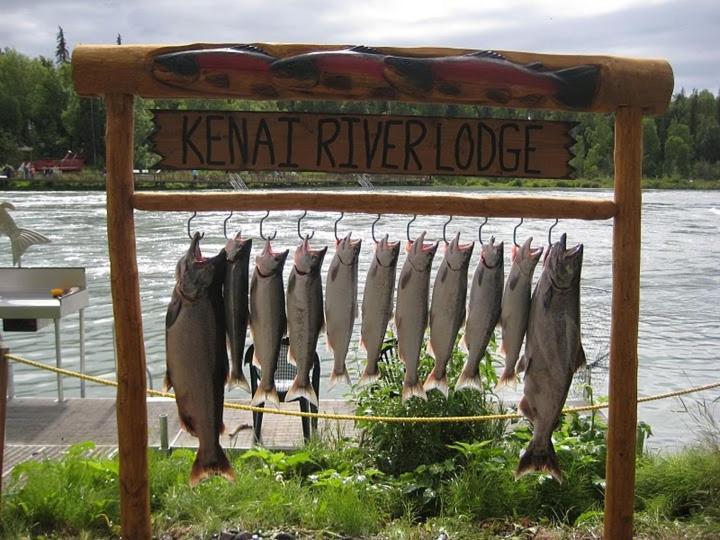 Kenai River Lodge 索尔多特纳 外观 照片